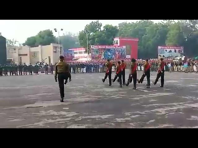 squad Command Best Cadet OTA Drill Instructor DEMO RDC 2022