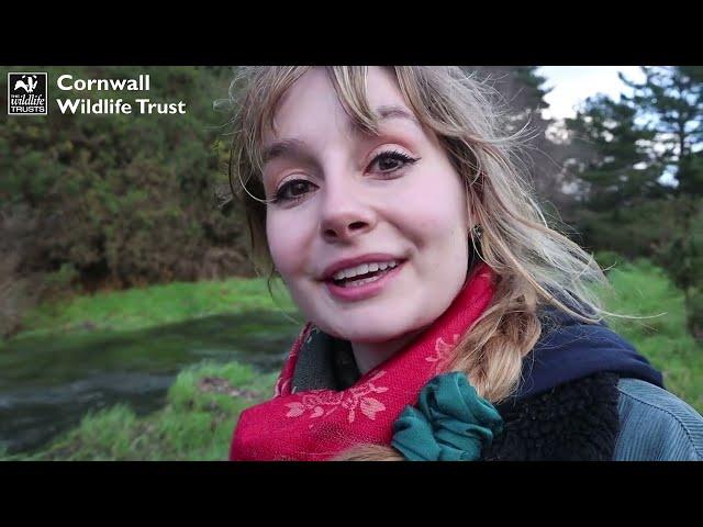 Emily Hardisty explores Bissoe Valley Nature Reserve