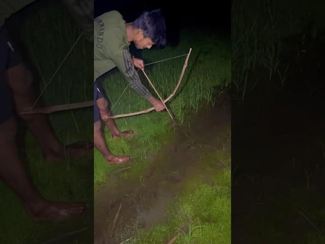 khet se naye tarika se pakerliya macchli(259) hindi village fishing trap #fishingtechniques