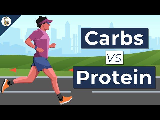 Carbs vs Protein For Endurance - Which Is Better?