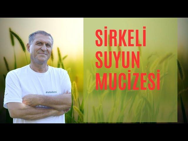 ELMA SİRKELİ SU İÇMENİN FAYDALARI SİRKELİ SU BAĞIRSAKLARA CİLDE İYİ GELİR ZAYIFLATIR