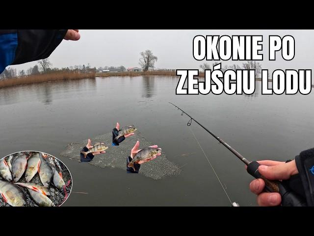 CZY OBCIĄŻENIE ma AŻ TAKIE ZNACZENIE? - pierwsze OKONIE po zejściu lodu!