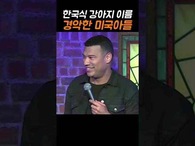 한국식으로 지은 개이름에 깜짝 놀란 외국인