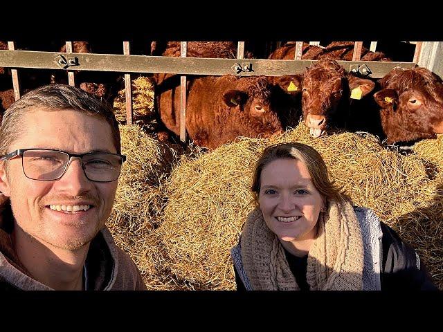 Our Own Farming Journey Update! | Back My Place!