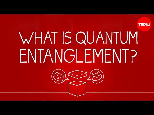 What can Schrödinger's cat teach us about quantum mechanics? - Josh Samani
