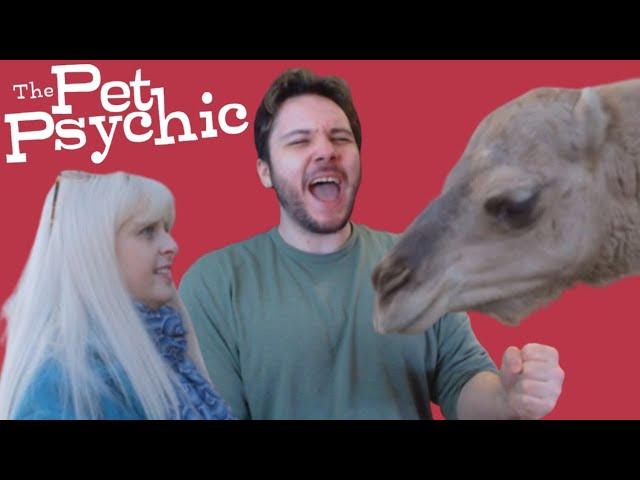 The Pet Psychic Is The Most Pathetic TV Show Ever