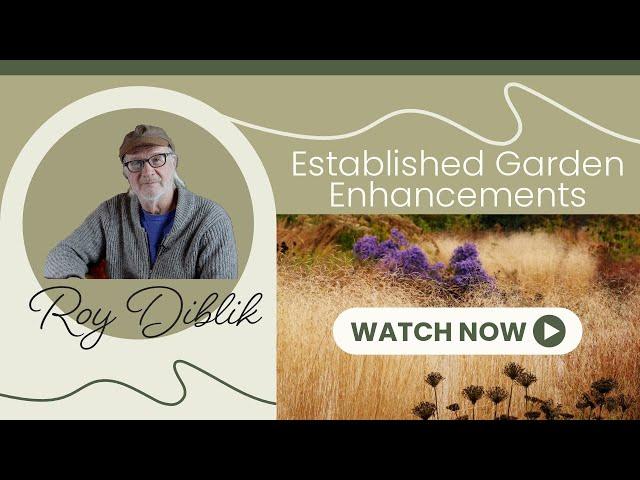 Garden Enhancement 2023  Episode #186