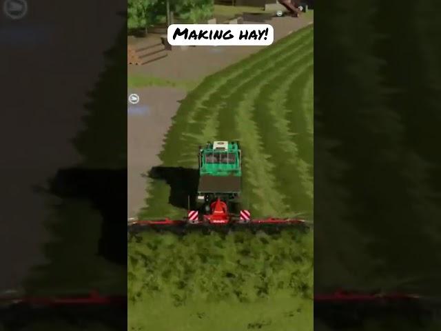 Making hay