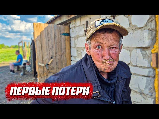 Слабонервным не смотреть! Закусали до смерти... | Орловская обл, Колпнянский р/н д.Удеревка