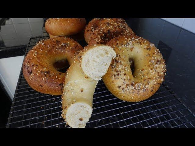 New York Style Bagels