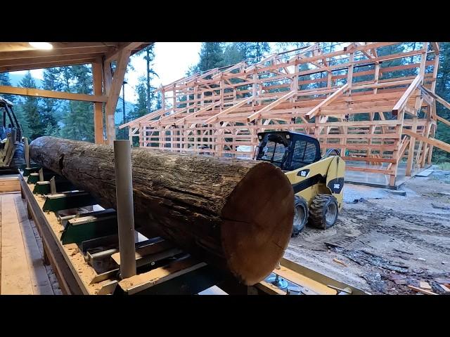 Milling Our Own LUMBER For Our BARNDOMINIUM Build - CEDAR On The Sawmill