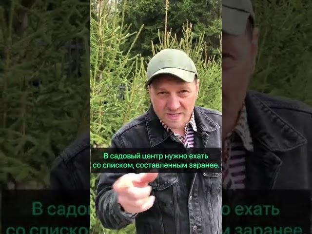 Пять ошибок в ландшафтном дизайне. #ландшафтныйдизайн #ландшафтныйдизайнер #ландшафтныйпроект