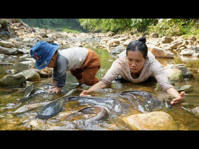 Single mother's raft destroyed by bad guys - going to the stream to trap fish with giant bamboo cage