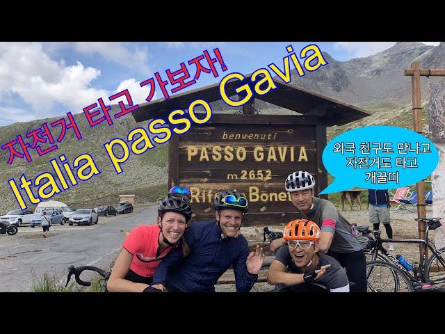 이탈리아 Passo Gavia 업힐 영상 + alpi4000 이란?  이태리 북부 유럽 업힐