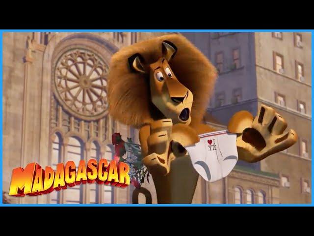 DreamWorks Madagascar | A Day In The Zoo | Madagascar Movie Clip