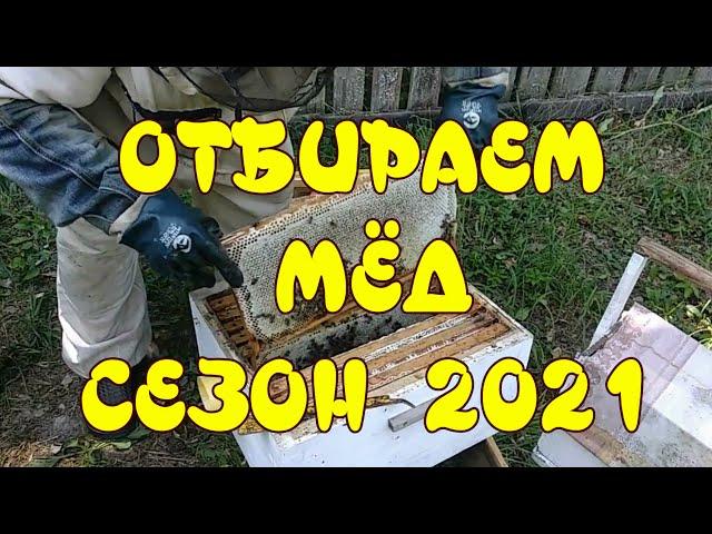 ОТБИРАЕМ МЁД  СЕЗОН 2021