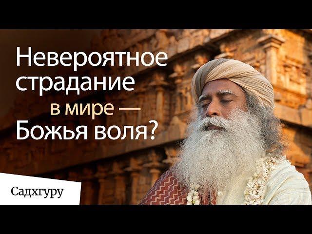 Страдание в мире — Божья воля?