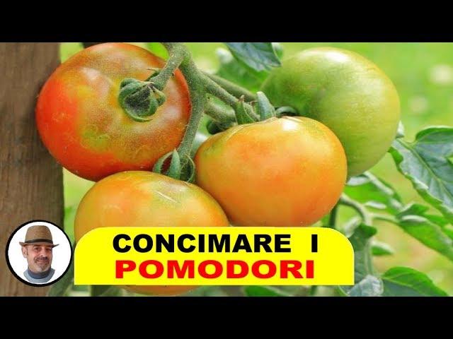 CONCIMARE IL POMODORO