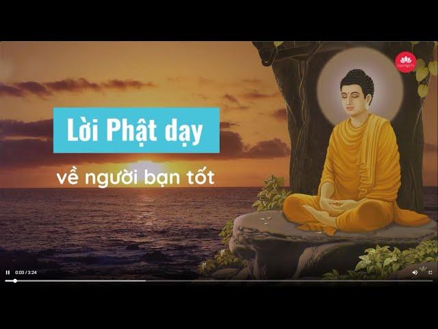 Lời Phật dạy về người bạn tốt | Giác Ngộ TV