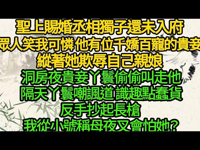 聖上賜婚丞相獨子還未入府，眾人笑我可憐 他有位千嬌百寵的貴妾，縱著她欺辱自己親娘，洞房夜貴妾丫鬟偷偷叫走他，隔天丫鬟嘲諷道 識趣點蠢貨，反手抄起長槍 我從小號稱母夜叉會怕她？