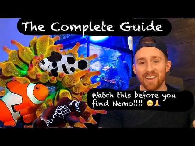 How to Care for a Clownfish (Everything You NEED to Know) 