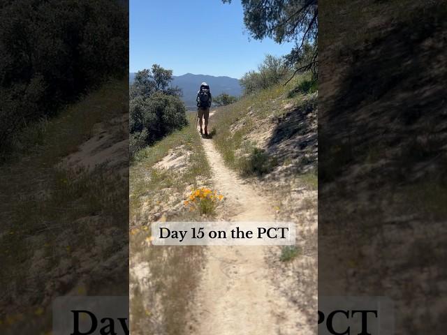 Day 15 on the Pacific Crest Trail #hikingroute #hikingadventure #pacificcresttrail #pct24 #idyllwild
