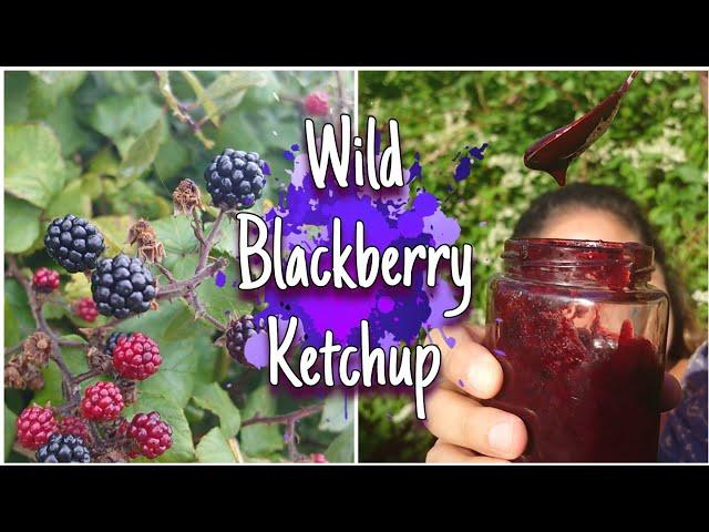 Turn Blackberry's Into Ketchup!