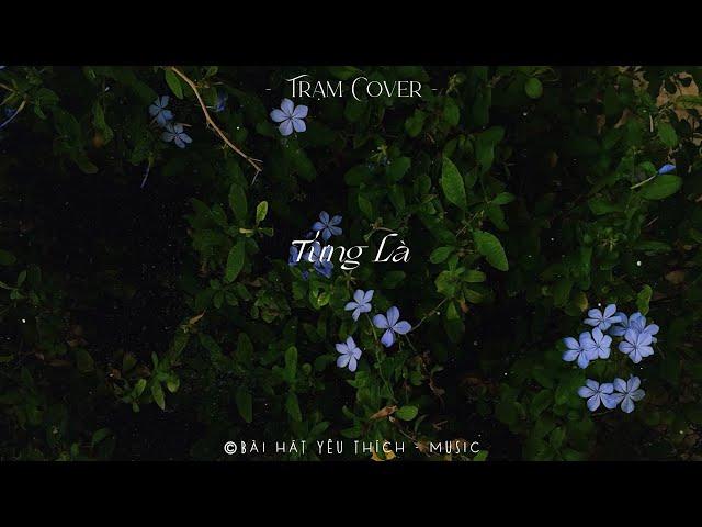 Top 25 Bản Hit Triệu View Acoustic Nhẹ Nhàng Thư Giãn - Từng Là, Thu Cuối,  Mơ, Dấu Mưa, Hẹn Một Mai