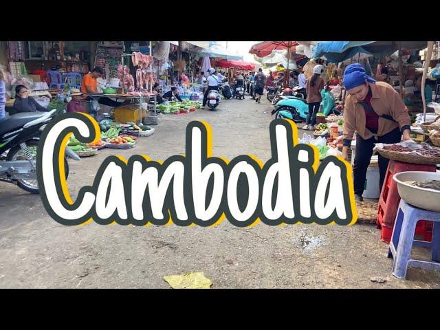 Market at provincial Cambodia Beef, vegetables and Grocery