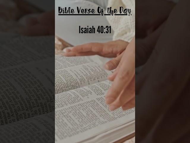 Isaiah 40:31 - Soaring on Wings of Faith: King James Daily Bible Verse for Strength and Renewal