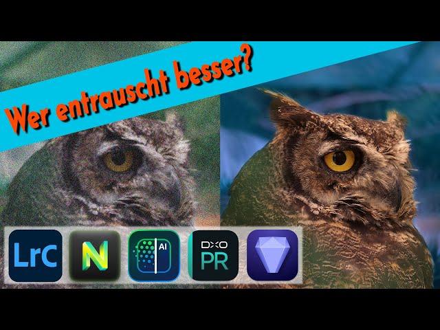 Wer entrauscht am besten?  ||  Praxis-Vergleich: Lightroom, Topaz, DxO, ON1, Luminar Neo