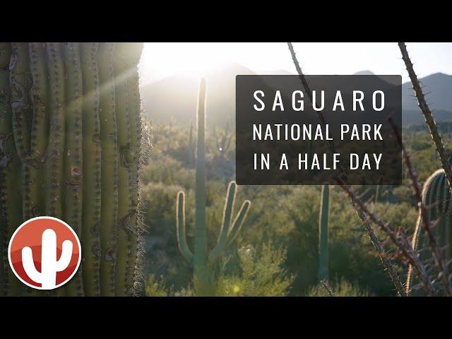 SAGUARO NATIONAL PARK - West | Signal Hill, Overlook, Discovery Trail, Gould Mine Trail | Tucson, AZ