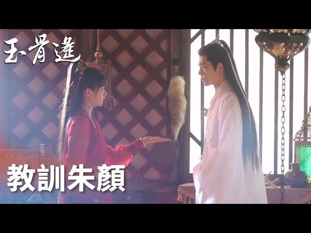 成年也難逃責罰！衝動朱顏遭時影打手板「玉骨遙」| WeTV