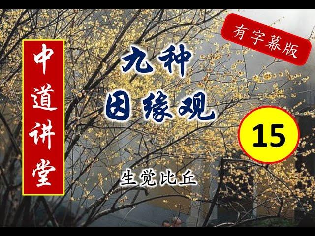 15 九种因缘观 有字幕版