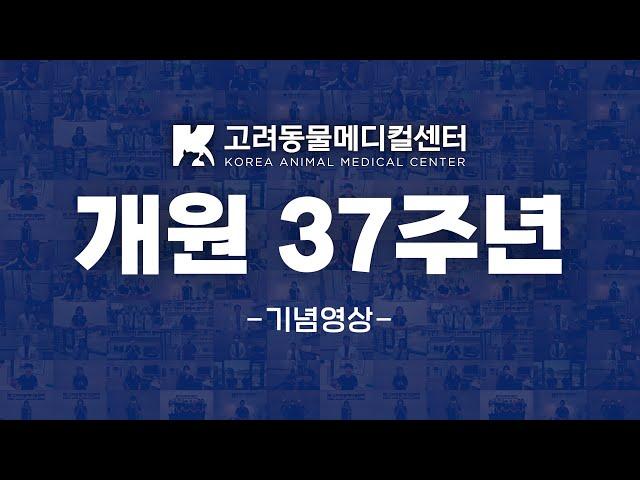 고려동물메디컬센터 37주년 기념영상(+쿠키영상) #기념영상 #축하합니다