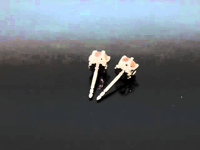 J.C.'s Platinum Peachy Pink Moissanite and Diamond Earrings