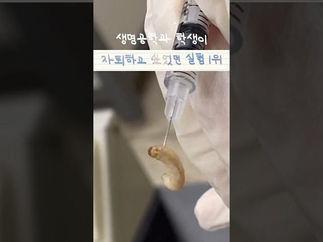 ‍생명공학과 오고 싶다구? 이 영상보고 다시 생각해봐  | 생명공학과 | 생명 실험 | Biotechnology