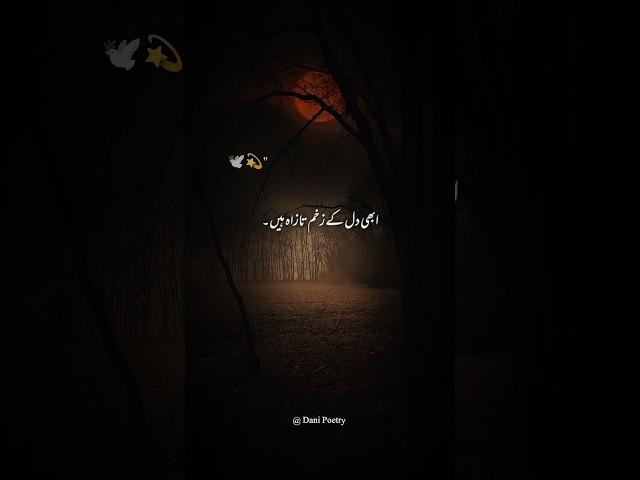  Deep line  Whatsapp status  Alone status || Urdu shayari || Dani Poetry #shorts #ytshorts