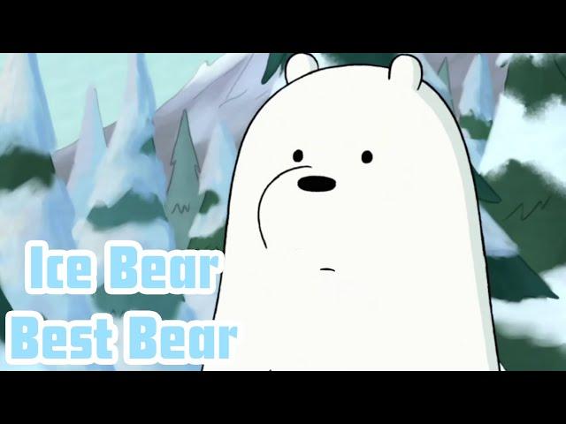 Ice Bear Moments I like