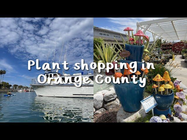 Plant Shopping in Southern California! | Dana Point houseplant vlog