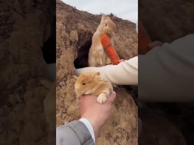Постимся постом приятным