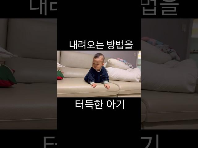 한 번 알려줬는데.. #육아일상 #cutebaby #토끼띠아기 #babyboy #babyshorts #babyvideos #육아꿀팁 #육아소통 #cute