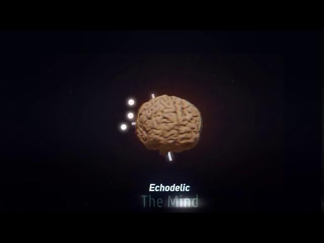 Echodelic  - The Mind