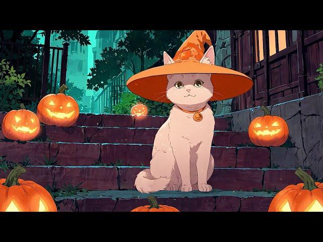 The Silly Witchy Cat  Lofi Halloween Night  Night Lofi To Enjoy The Halloween Night