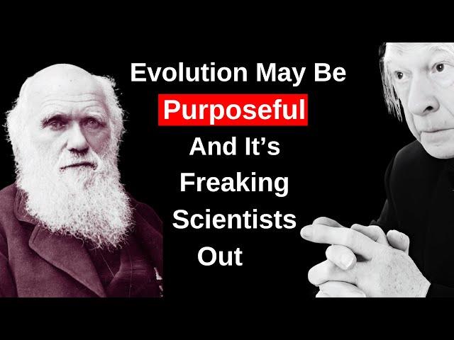 Science Is Reconsidering Evolution