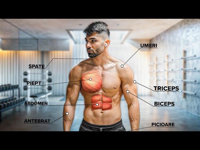 Acest Antrenament FULL BODY Îți Va Schimba Viața I Ușor și Rapid