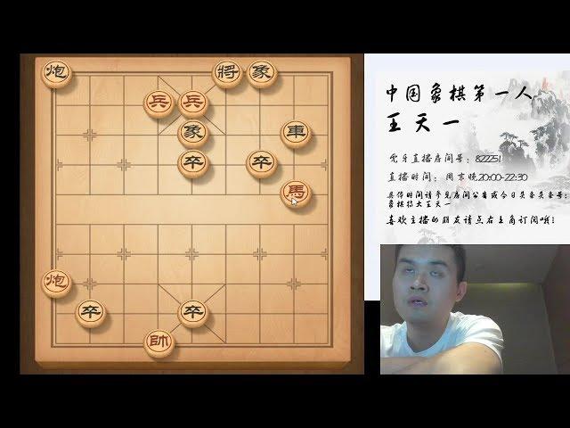 2020年象棋特大王天一直播录像合集