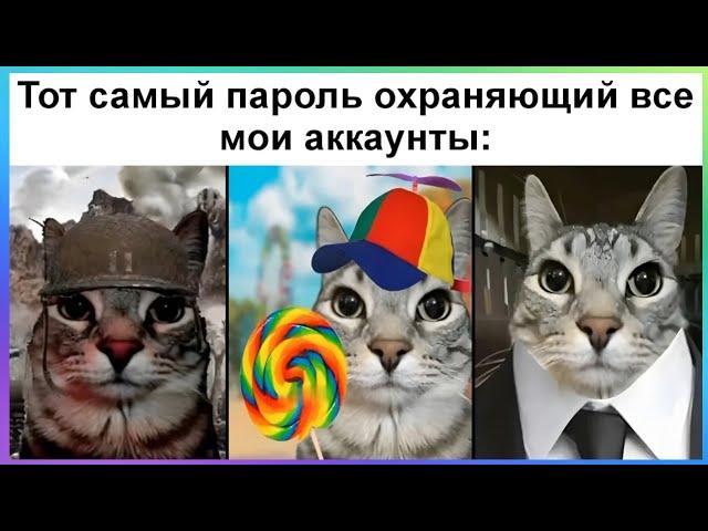 Тик ток поставил пароль | Подборка мемов в честь 6к подписчиков