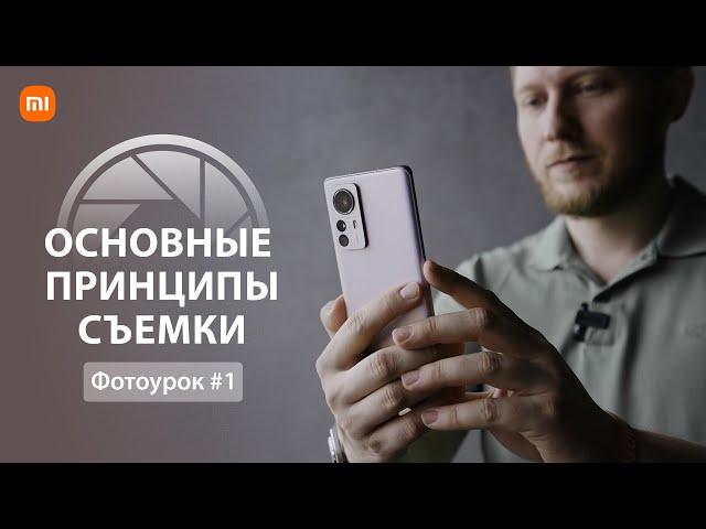 Мобильная фотография основы | Уроки фотографии на телефон  |  Урок 1