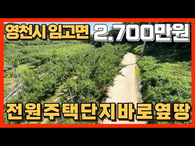 소액평수 영천임야 매매 합니다. 현재 복숭밭 ㅡ #영천땅매매